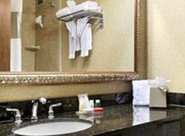Ramada Plaza Hotel Columbus Ruang foto